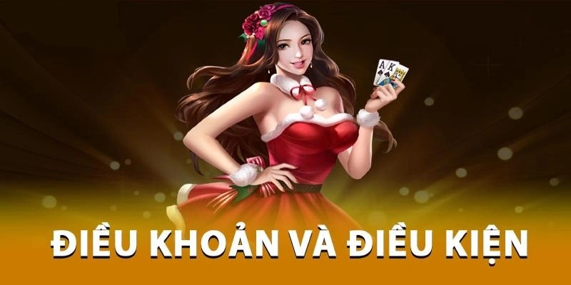 điều khoản điều kiện Các Điều Khoản Điều Kiện Liên Quan Đến Việc Đảm Bảo Công Bằng